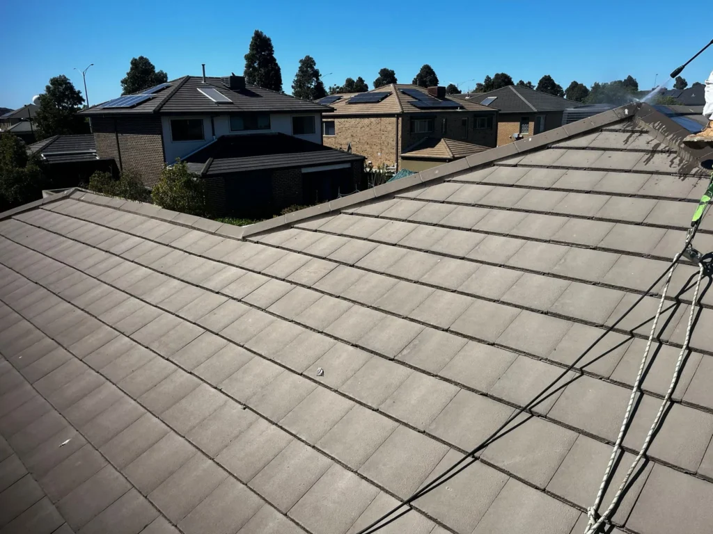 Roof Repainting